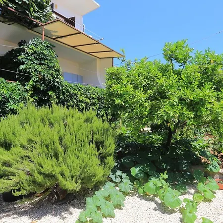 Zivogosce - 1057d Daire