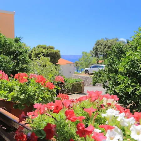 Zivogosce - 1057d Daire